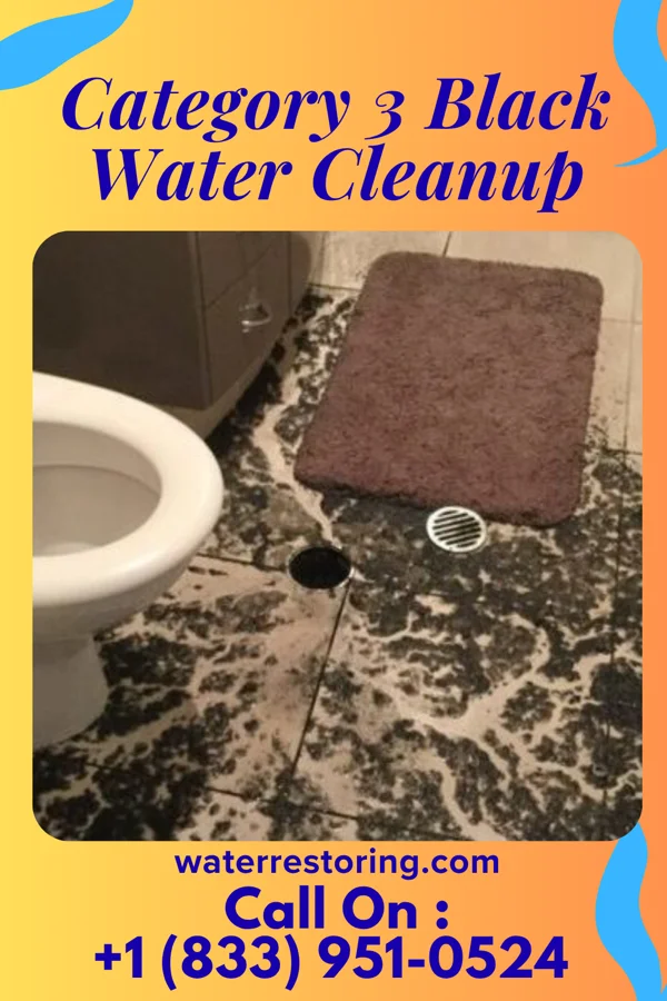 Category 3 Black Water Cleanup in Paonia, CO