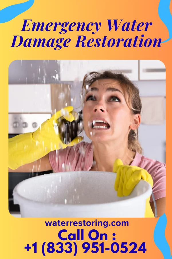 Emergency Water Damage Restoration in Paonia, CO